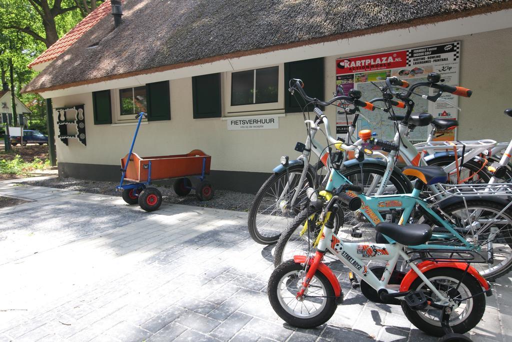 Natuurpark De Witte Bergen Hotell Rouveen Rum bild
