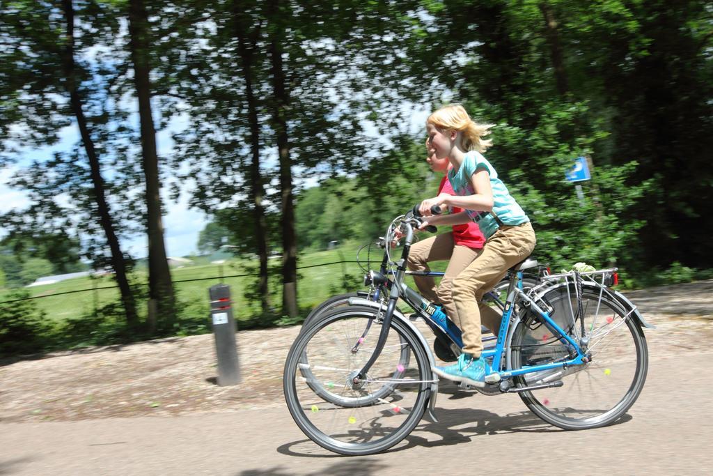 Natuurpark De Witte Bergen Hotell Rouveen Rum bild