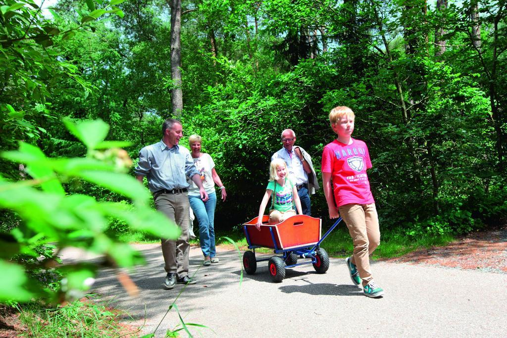 Natuurpark De Witte Bergen Hotell Rouveen Rum bild